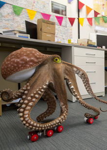 Нейро ребрендинг ОСЬМИ РОЛЛ