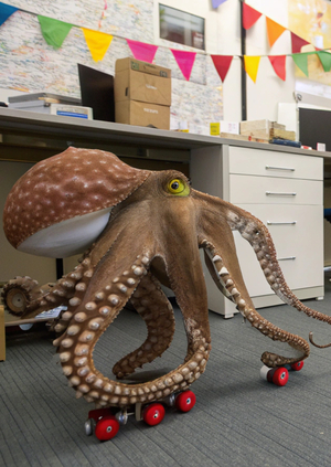 Нейро ребрендинг ОСЬМИ РОЛЛ