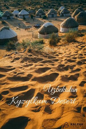 Breath of the desert: Kyzylkum in modern design