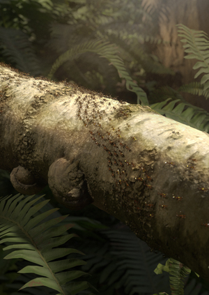 Ants Flow | Particle simulation