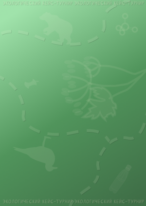 Международный молодёжный экологический кейс-турнир