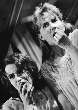 Analysis of visual narrative of The Haunting (1963)