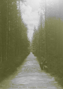 Глава 1. Концепция исследования