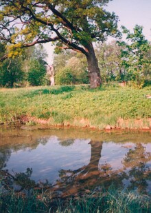 Архетип и Прототип