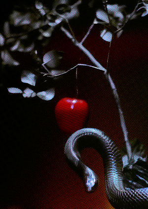 Особенности визуального нарратива в работах Сэмюэла Байера