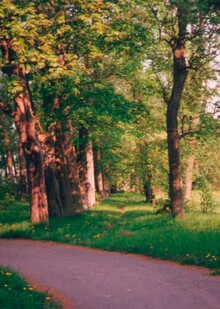 Техническое задание