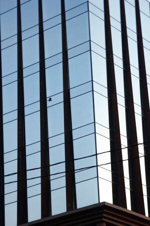 Растворенные в небе