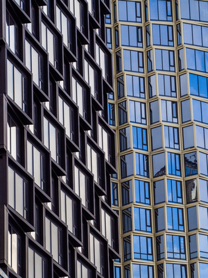 Павелецкая динамика 