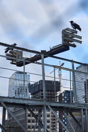 Равновесие