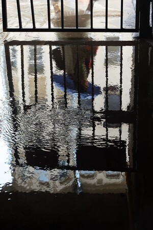 Разнообразие акцентов 