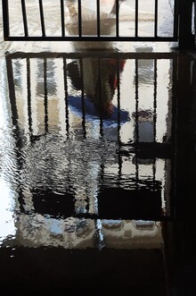 Разнообразие акцентов