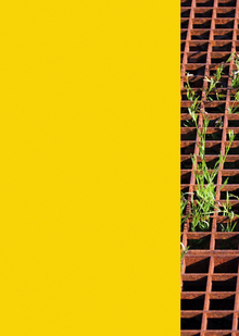 Тюремный дворик. Сад арестантского корпуса Спасо-Евфимиева монастыря