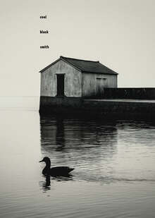 humanimalien — coal black smith (current 93 cover)