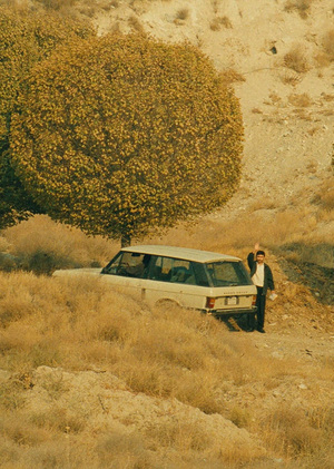 Мета-визуальный язык в фильмах Аббаса Киаростами и Джафара Панахи