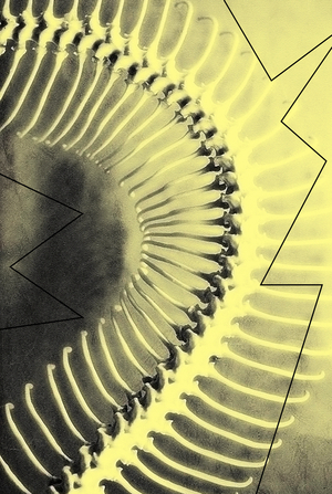 Особенности развития естественнонаучных музеев  