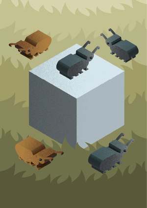 Операция «Слиплось»