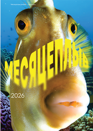 Месяцеплыв календарь