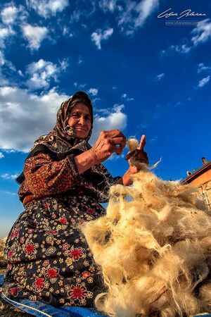  Павловский дворец – энциклопедия русского классицизма