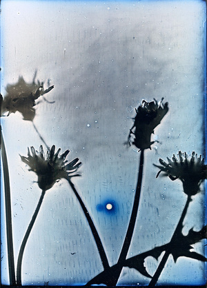 Дагеротипия и амбротипия