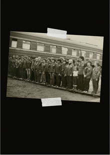 Отряды проводников