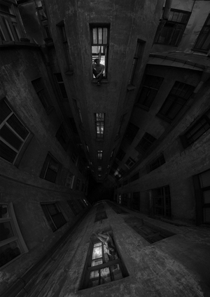 «Петербургский палимпсест: археология дворов-колодцев»