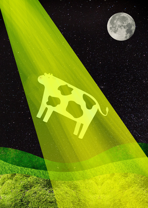 космоферма