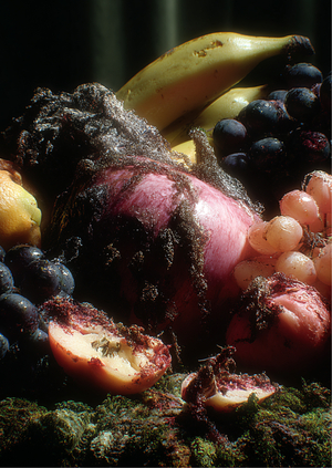 Эстетика разложения: от барокко до наших дней