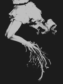 Глава 2. Виды трансформаций