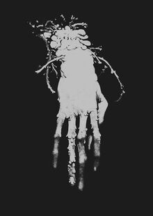 Заключение: какой опыт получаем