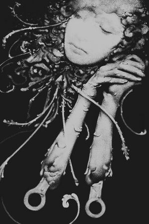 Глава 1. Зарождение: от метаморфоз к глитчу