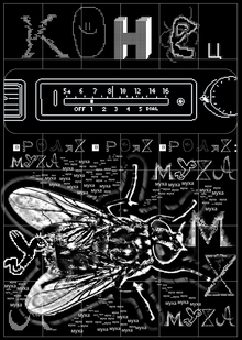 воркШопс