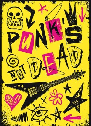 Обложки панк культуры со стороны дизайна