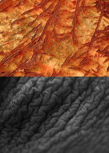 Металл как толпа и кожа