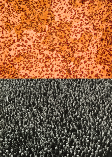 Антропоморфизация металла