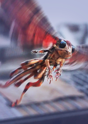  Эволюция VFX для создания существ во франшизе «Фантастические твари»