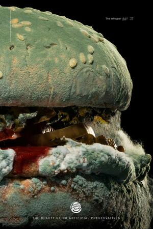 Анализ рекламной кампании Burger King “Moldy Whopper”