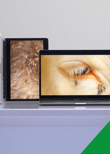 Заключение