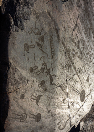 Онежские петроглифы в интерпретации А.М. Линевского и В.И. Равдоникаса