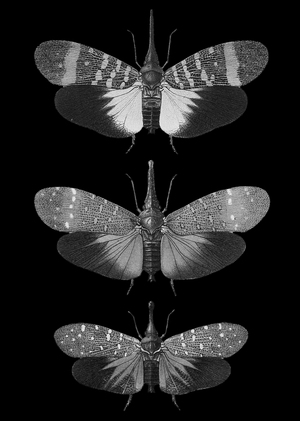 Заключение