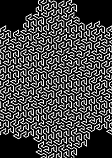 Симметрия в природе и как человек берет оттуда вдохновение