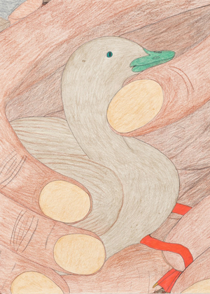 Птицы в аутсайдерском искусстве: от наблюдения к орнитоморфным образам