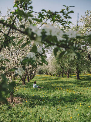 Парк Коломенское как место восприятия