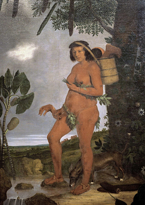 Образ коренного жителя Америки с  XVI по XIX век