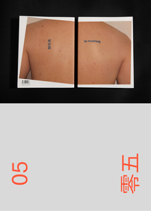 Современная билингвальная типографика Китая