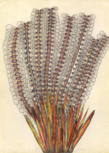 3. Природные мотивы. Связь с земным и внеземным