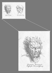 физиогномика