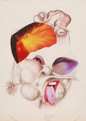 Лицо без личности: стратегии обезличивания в современном искусстве