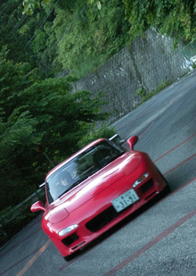 Зарождение и ранние формы