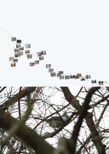 Юнтоловский заказник