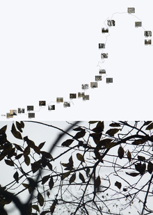 Новоорловский заказник